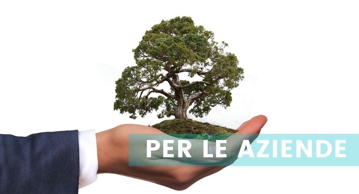 Domande frequenti